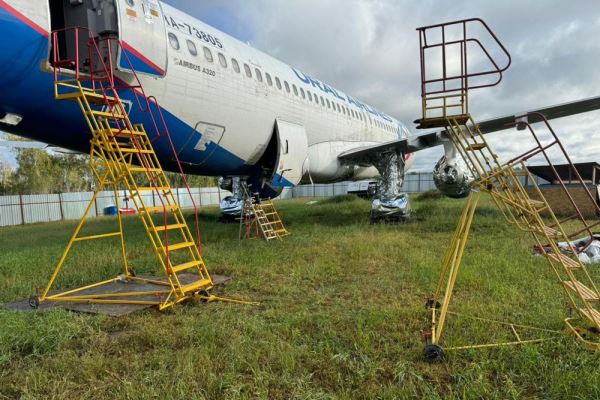 Севший на новосибирское поле самолет «Уральских авиалиний» начали разбирать