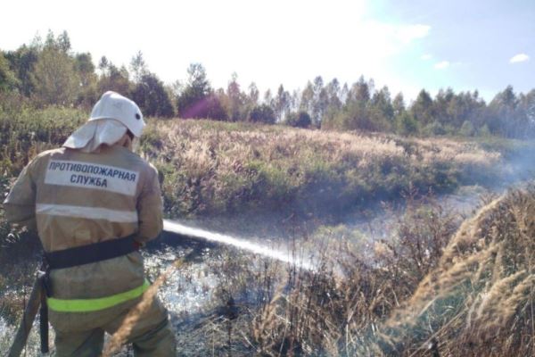 В Ярославской области тушат горящий торфяник