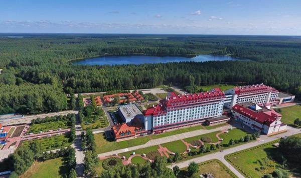 Самые грибные места рядом с Москвой и Петербургом. Подборка лесных отелей для грибников